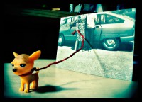 /album/petits-chihuahues/a2166633348-a46b59e228-jpg/