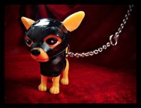 /album/petits-chihuahues/a2213590019-2b961f9e63-m-jpg/